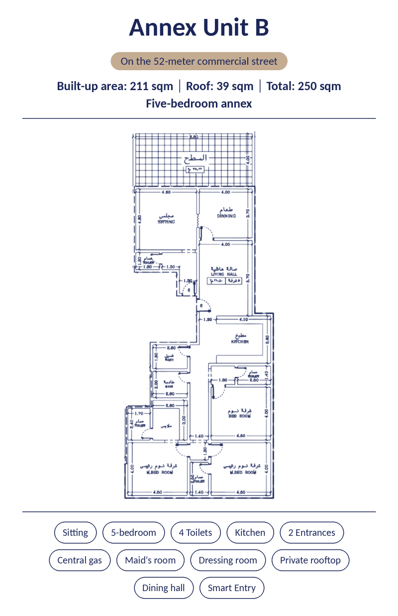 Annex Unit B 211sqm 4 Bedroom Apartment + Roof 39sqm